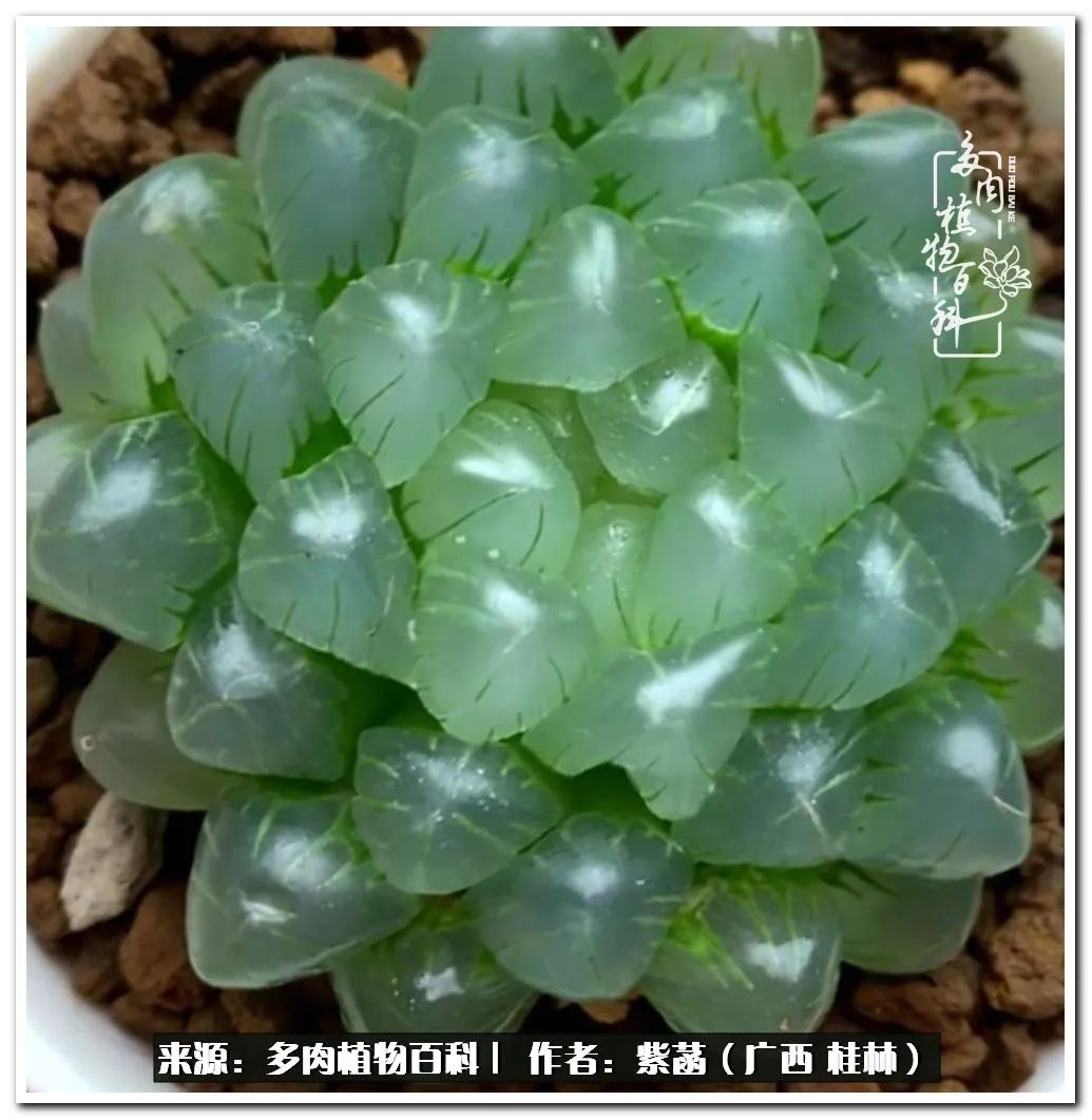 酷暑里的关爱，如十二卷般透亮绵长