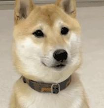 林氏床垫和席梦思床垫哪个好,4000的席梦思床垫什么档次