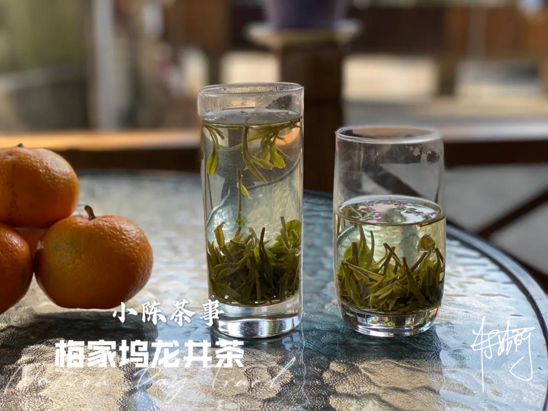 红茶绿茶乌龙茶四季春茶哪个减肥,绿茶秋茶和春茶有什么区别