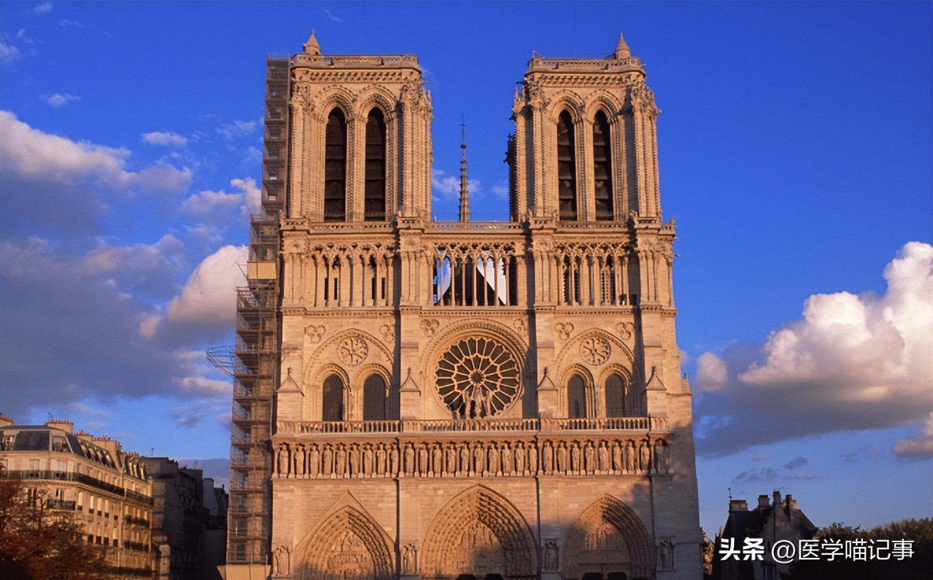 雨果诗歌和小说创作,雨果诗歌和小说创作的成就