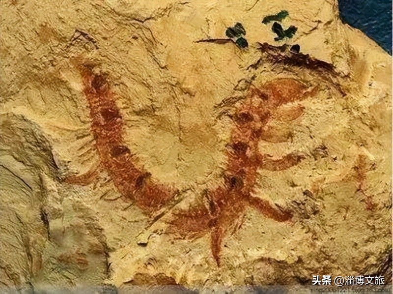 此生必打卡10个旅游地方,此生必去的中国50个最美地方