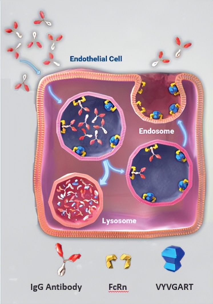 续命的优先审评券再现，转卖价格高达1.02亿美元