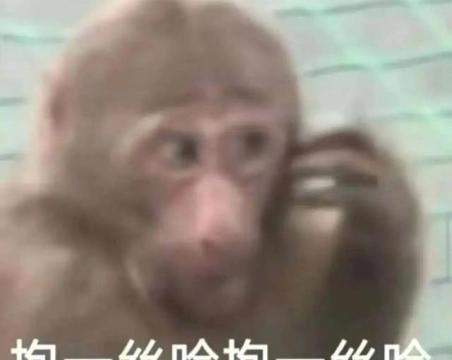 德国足球帅哥,德国足球最新消息