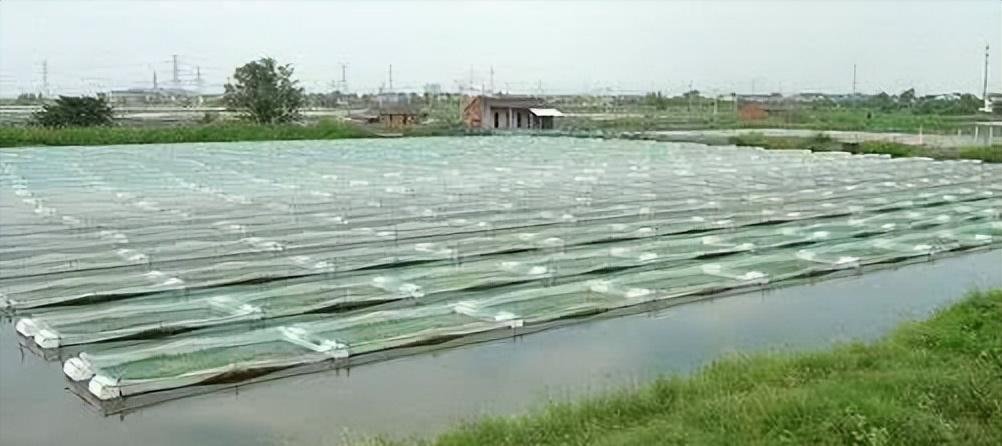 水蛭立体养殖箱制作材料,牡丹江水蛭立体养殖