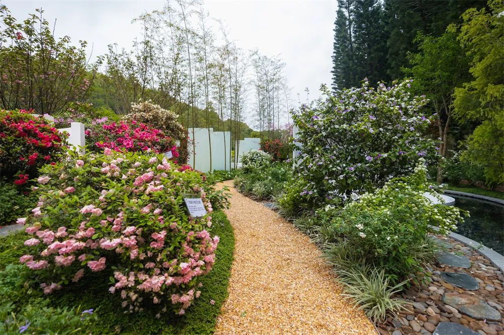 切尔西花展最佳展示花园奖,切尔西花展获奖作品