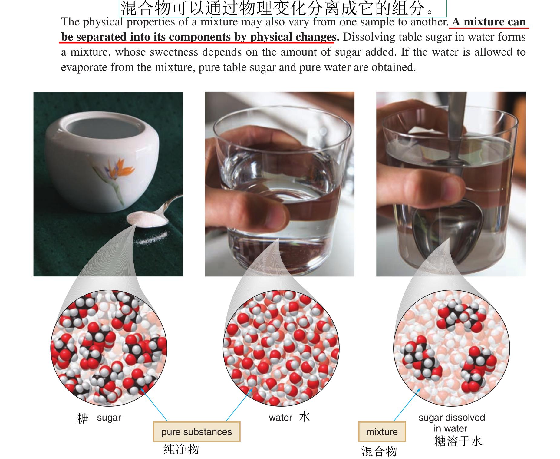 用英语提前学生物化学:小学900基础词汇词源解析第二十三课