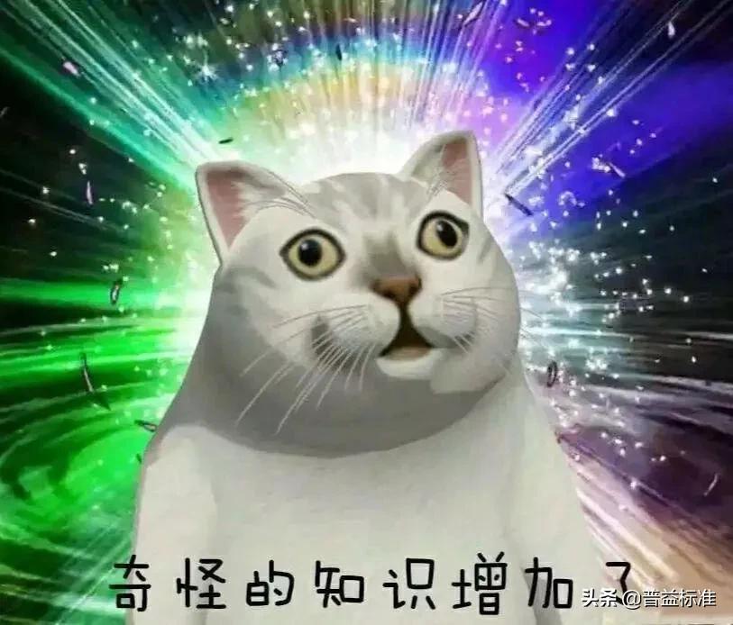 银行交易分析是什么,银行交易明细详解