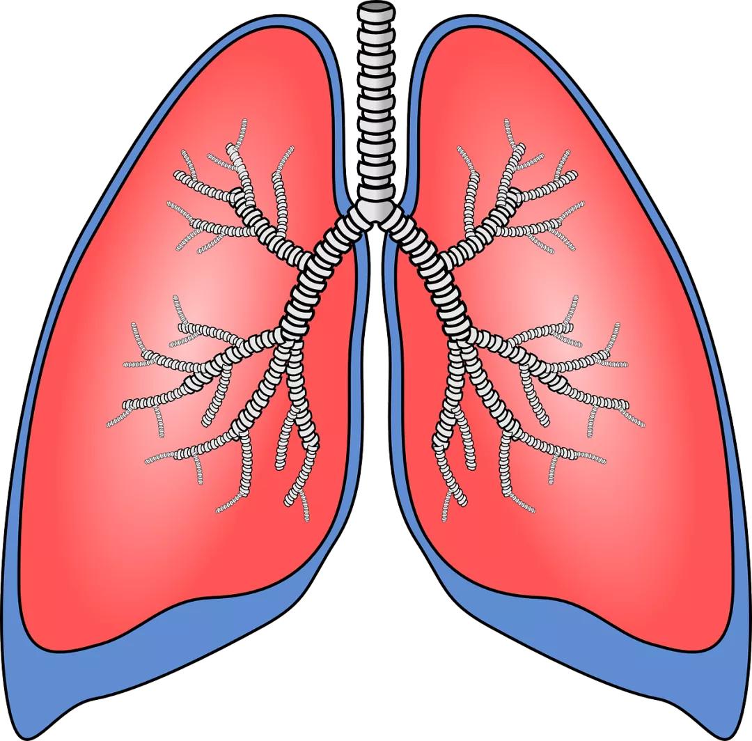 支气管炎不能拖，慢性支气管炎无法根除，只能缓解
