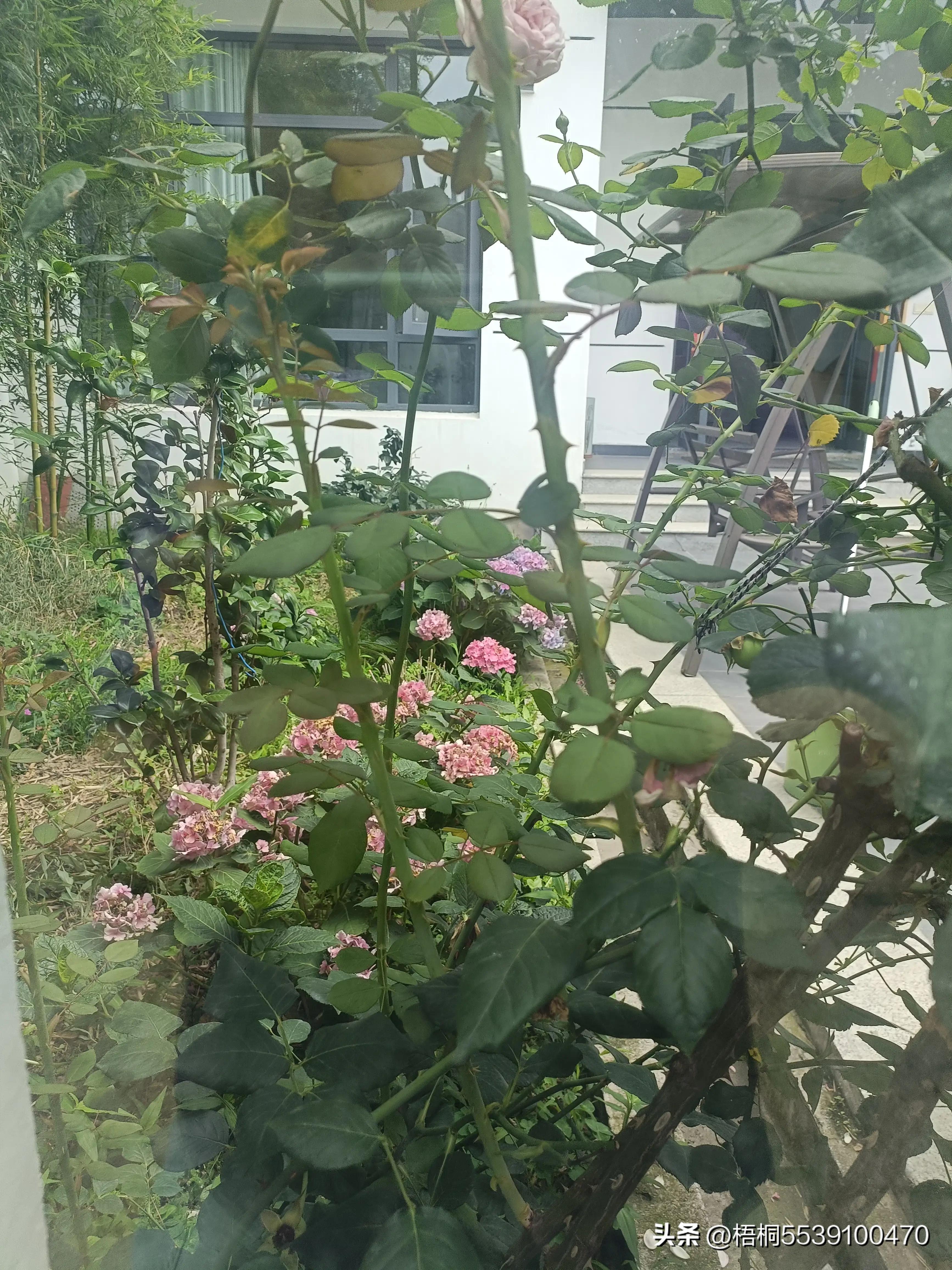 苏州洞庭西山有什么好玩的,苏州太湖东山还是西山好玩