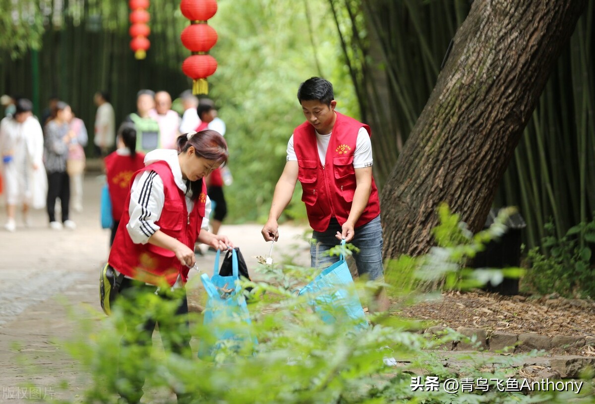 绿色是发展的最美底色,绿色生态与和谐共生
