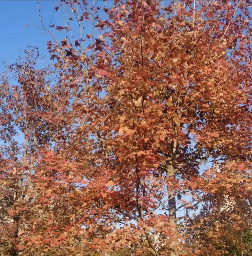 人品与信用,人品与生意文案