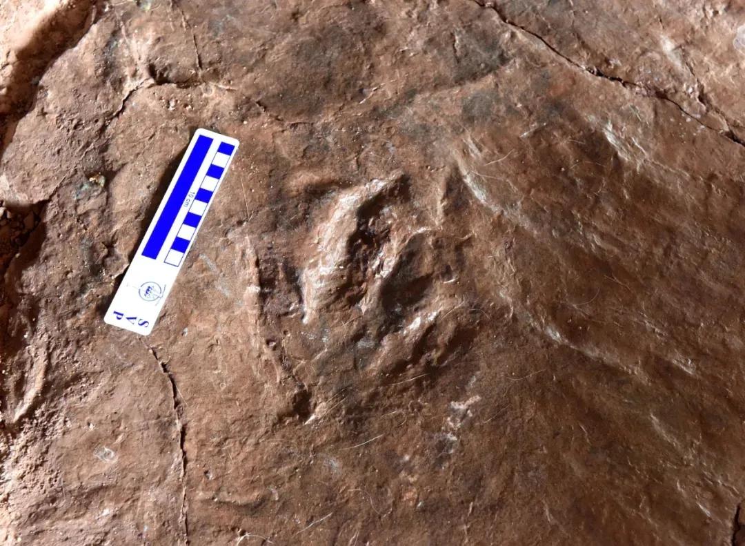 原来你是这样的男人,原来你是这样的顾先生追妻片段