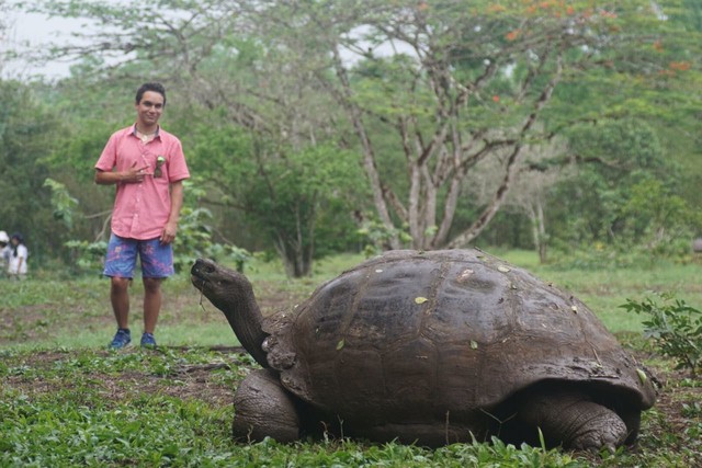 家养的乌龟哪种龟比较好养,黄头侧颈龟可以和什么乌龟一起养