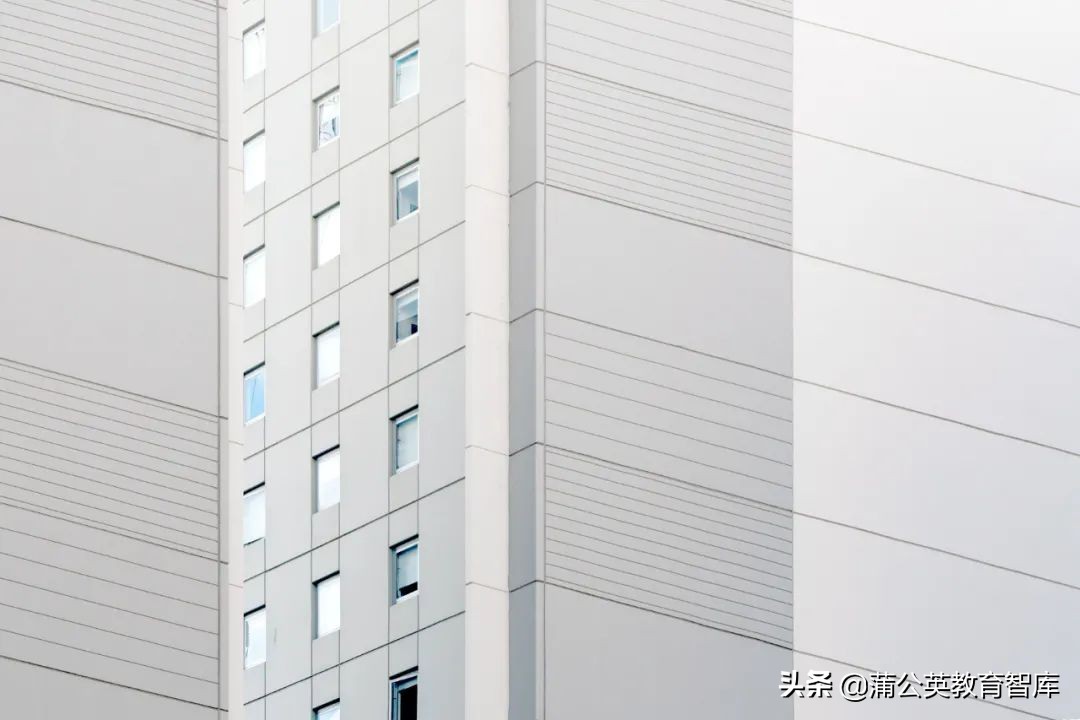 学校发展规划的要点,学校发展规划如何制定