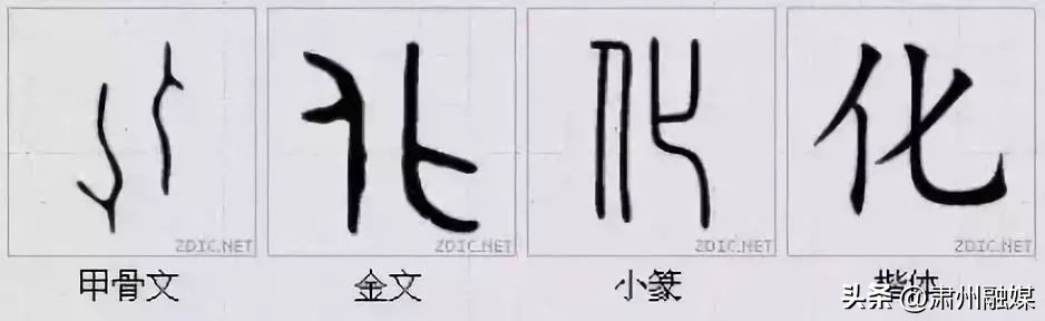 水平极高的演讲太精彩了,十大顶级经典演讲完整版