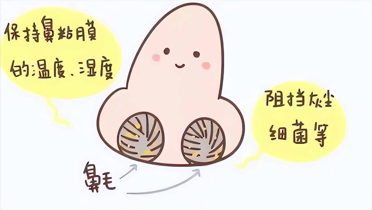 阴毛有什么用？要不要刮掉？由黑变白，说明了什么？男女都应了解