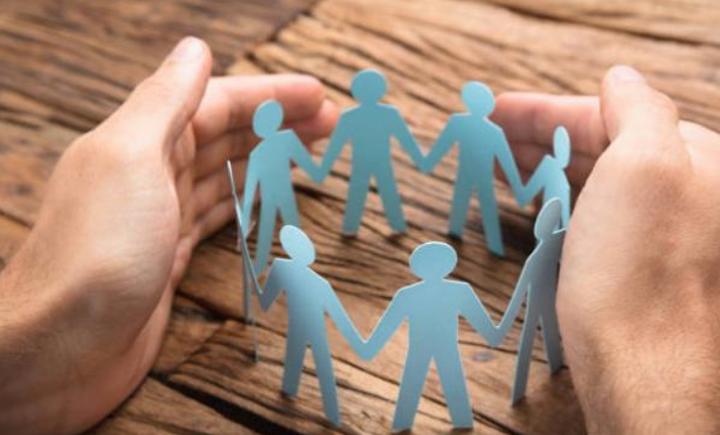 自恋型的飞猴,自恋飞猴