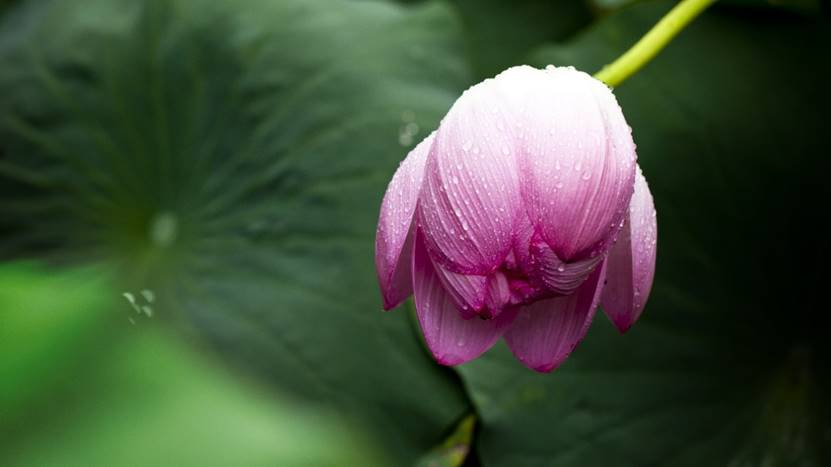 睡眠模式怎样定两个闹钟,睡眠状况可以设置2个闹钟吗