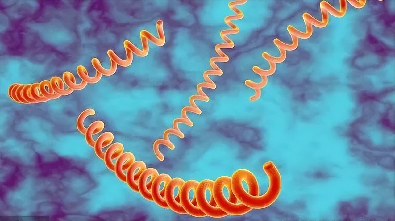 公共厕所马桶到底有多脏,使用公共马桶会感染疾病么