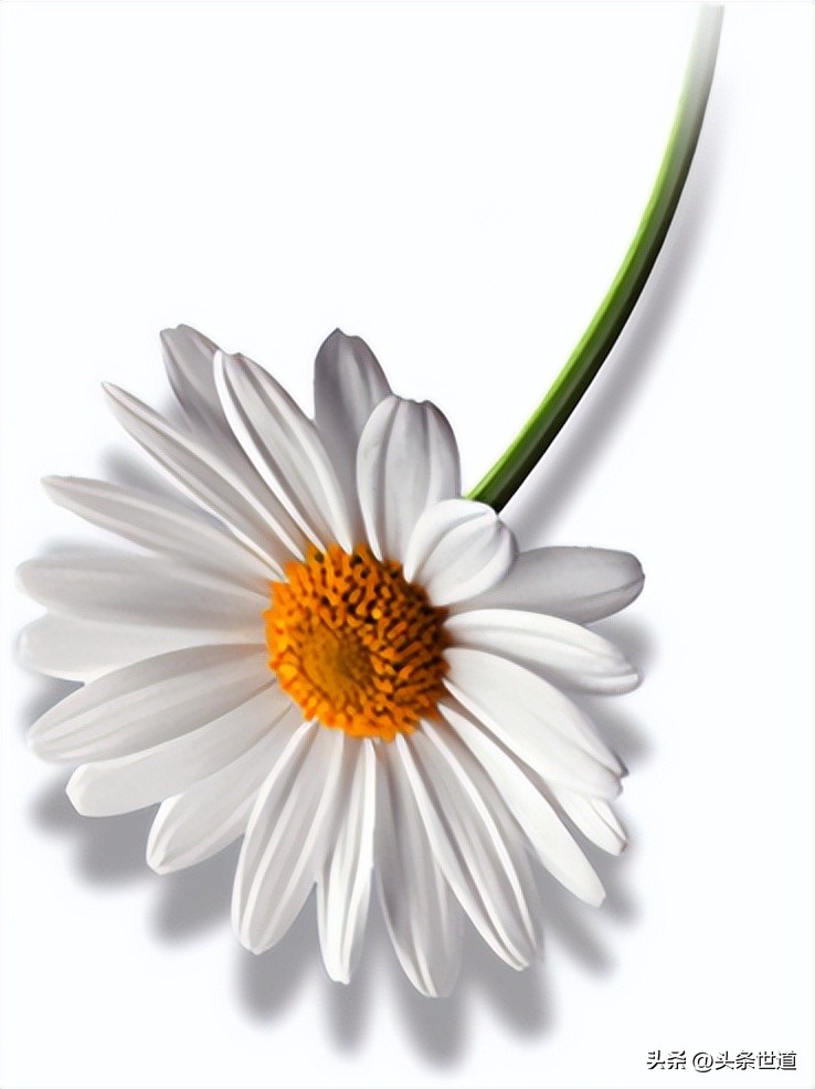 excel技巧教程做账操作,excel操作技巧整列执行公式