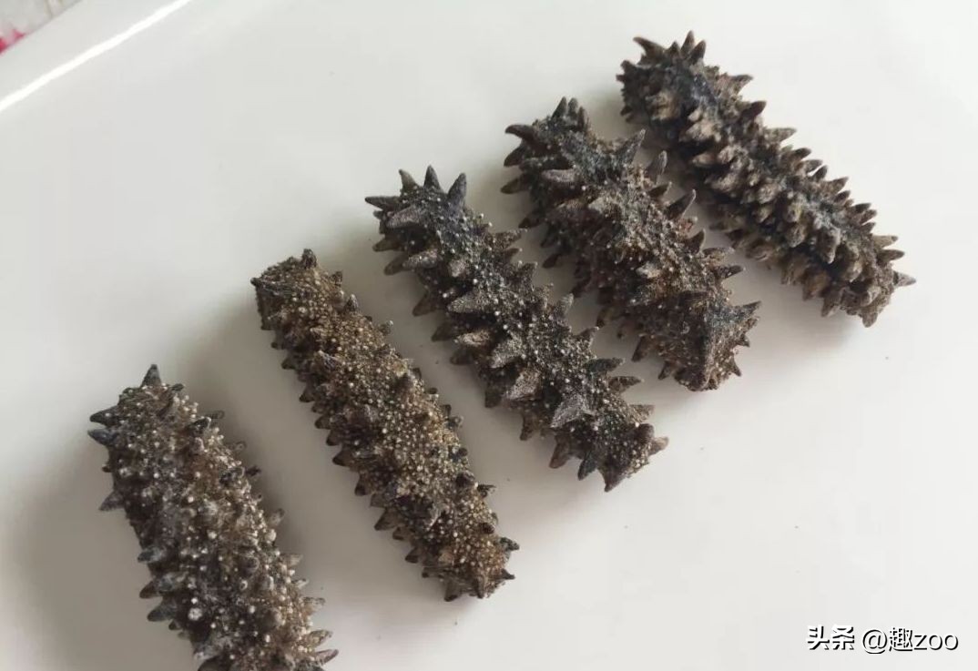 中国海鲜十大排行榜,中国海鲜产品品牌前十名