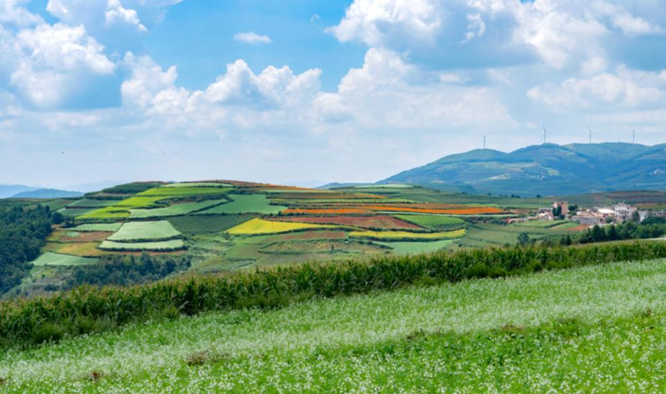 9月哪个地方适合旅居,三月旅居城市推荐