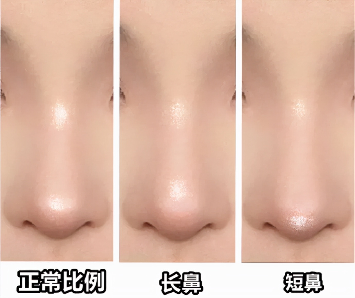 什么是骨相化妆和皮象化妆,皮相和骨相化妆教程一样吗