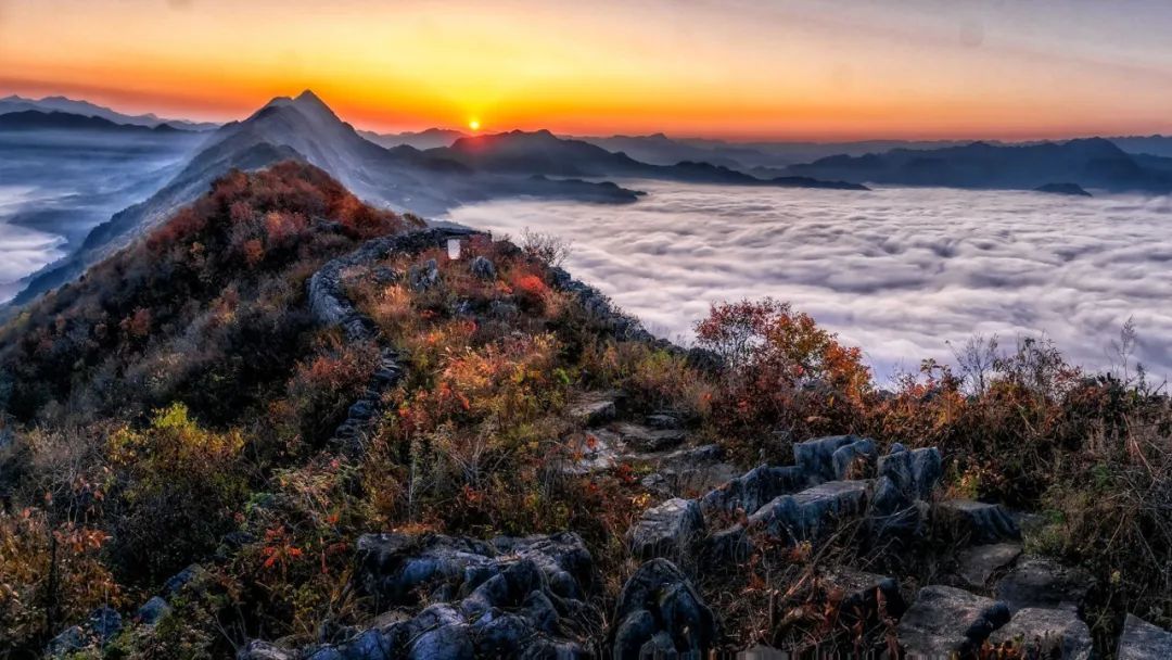 平凹先生与他的《山本》