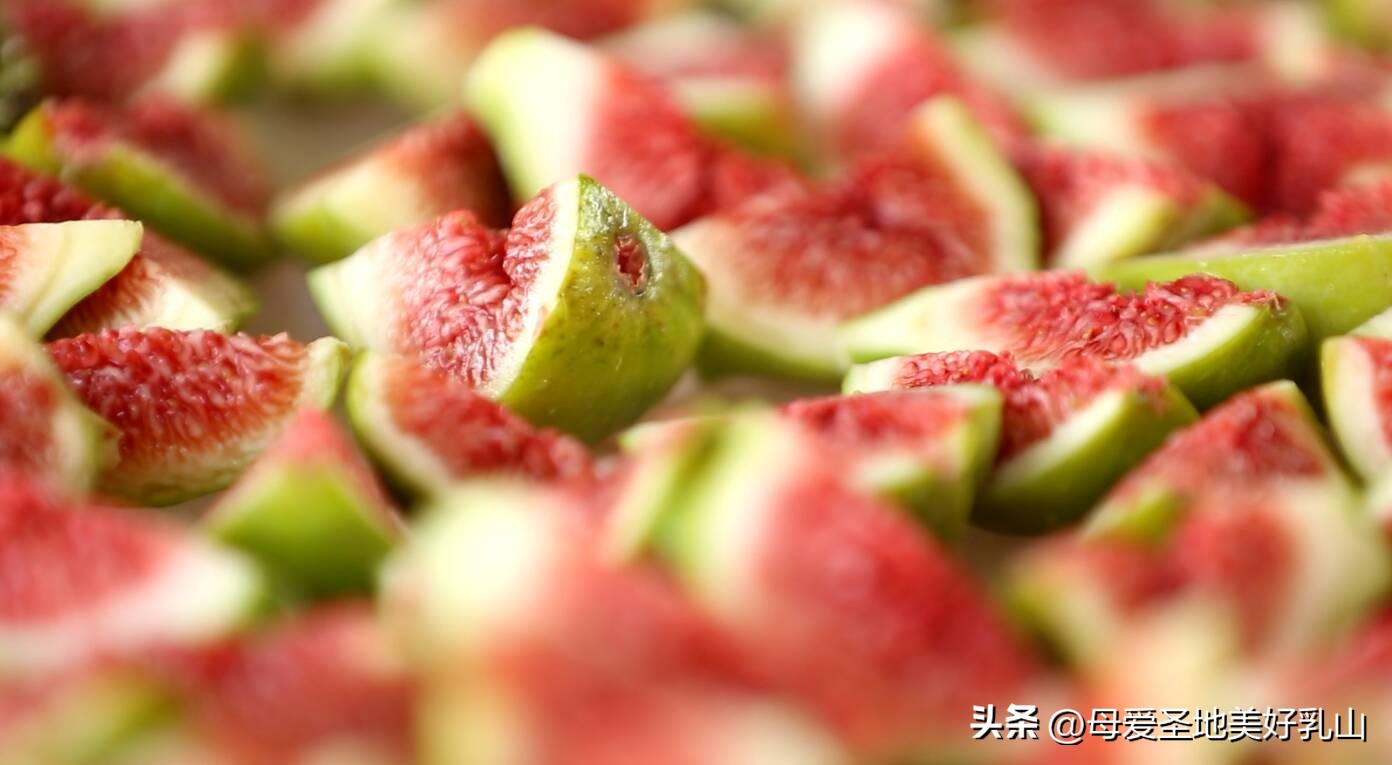 无花果产业化建设,种下无花果拓宽致富路