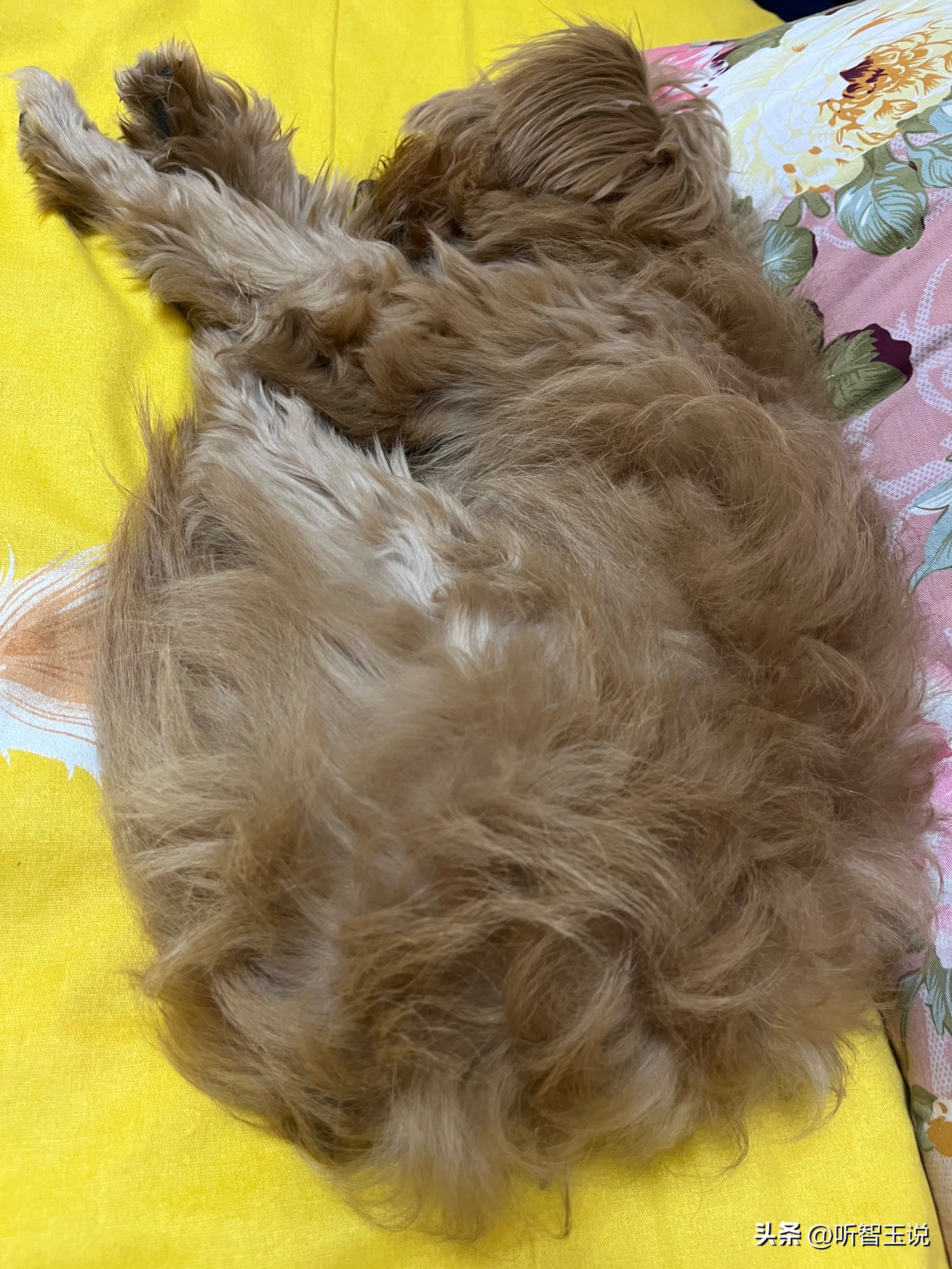 购买笔记本电脑的最好方法,如何花最少的钱买笔记本电脑