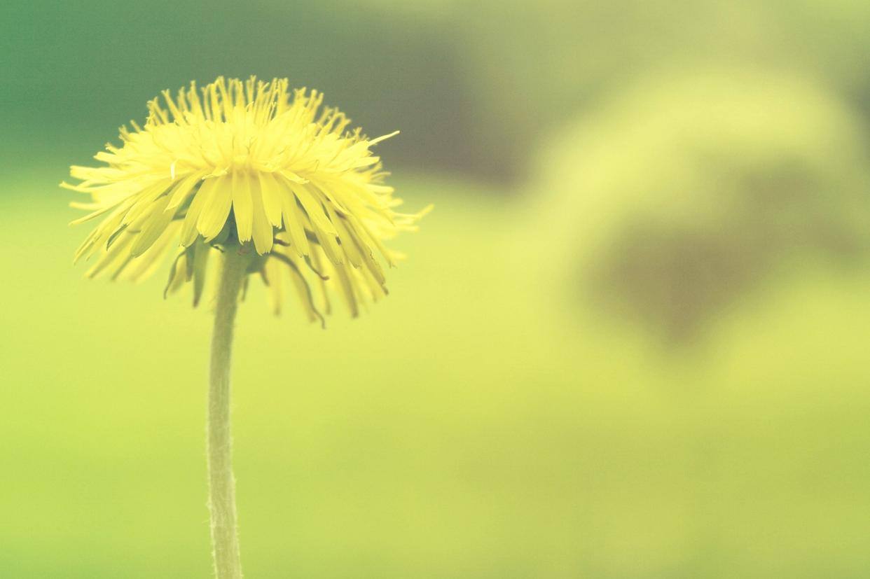 爱一个人的最高境界其实就一句话,爱一个女人的最高境界是什么