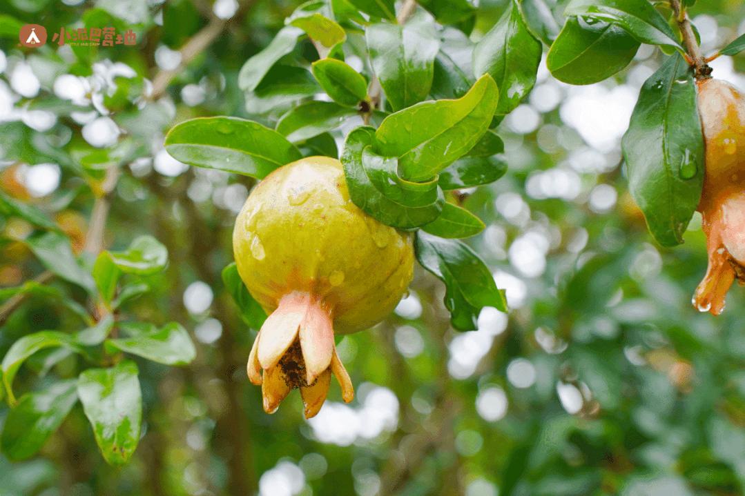 下雨天带小孩可以这样玩,下雨天可以带孩子去哪玩