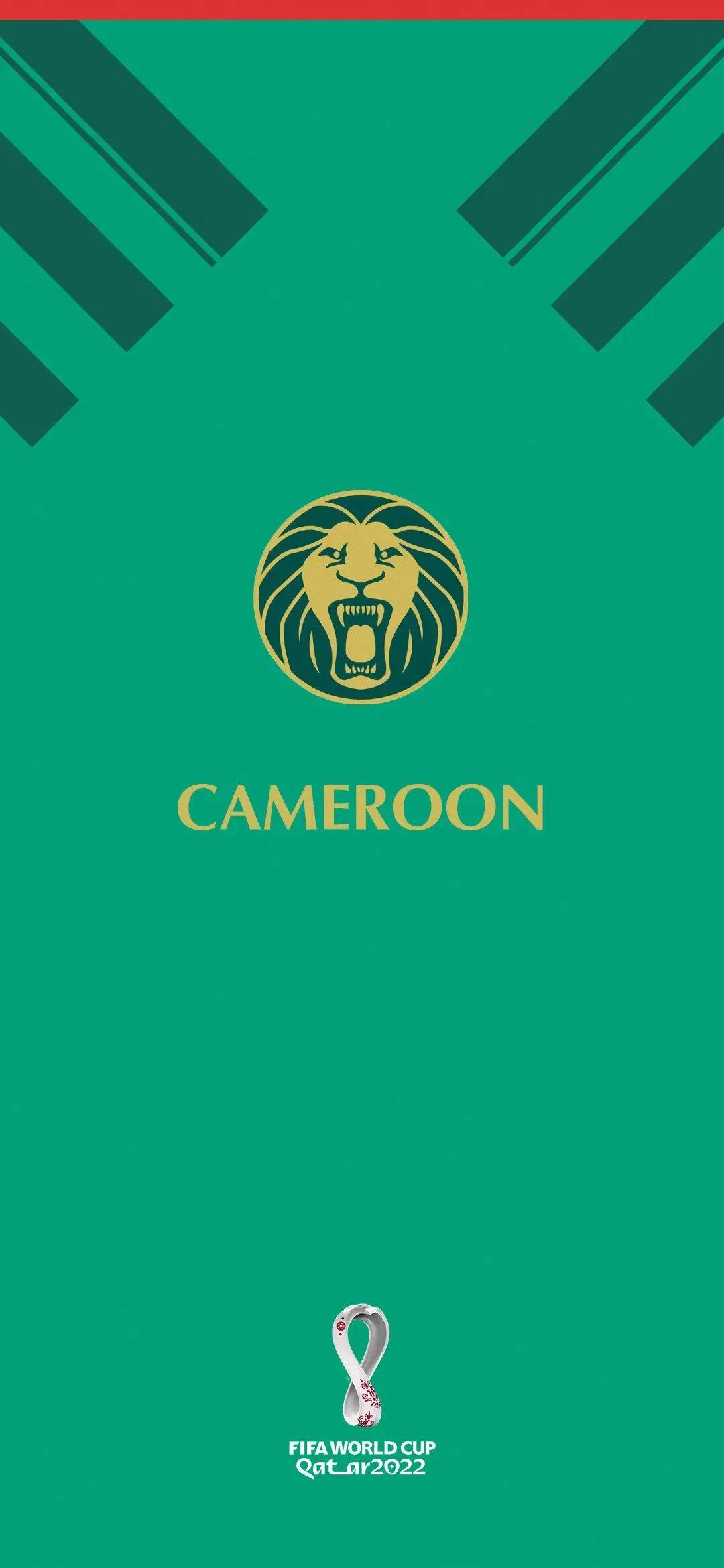 足球壁纸世界杯巴西,足球壁纸2020年