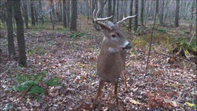 超级血液代表着什么,超级血液是啥