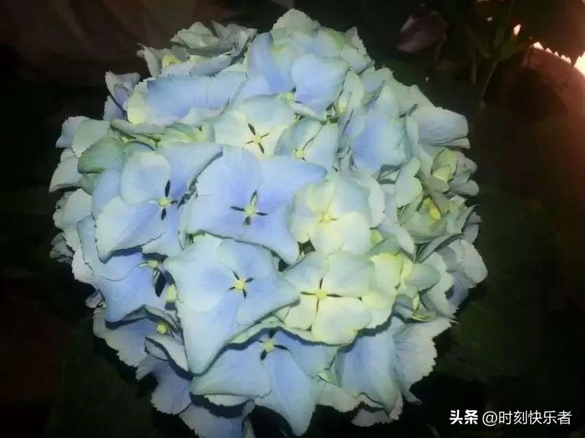 抗战时期国际对中国的援助的影响,抗日战争巴基斯坦援助中国纪录片