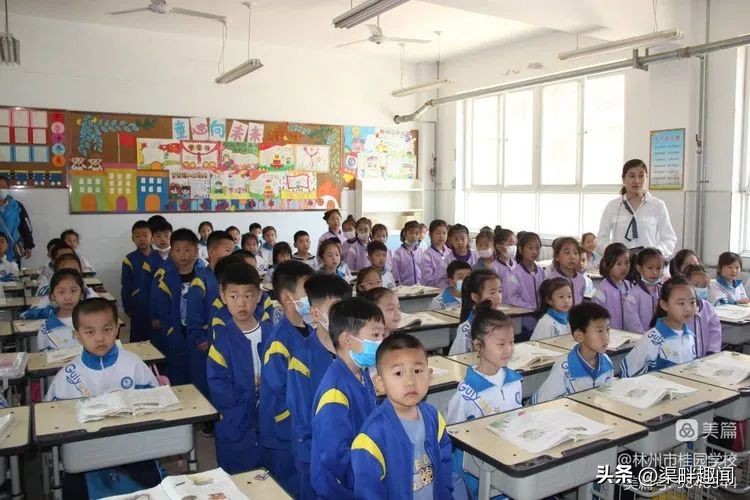 聚焦德育活动促学生全面发展,聚焦入学助力儿童成长公开课