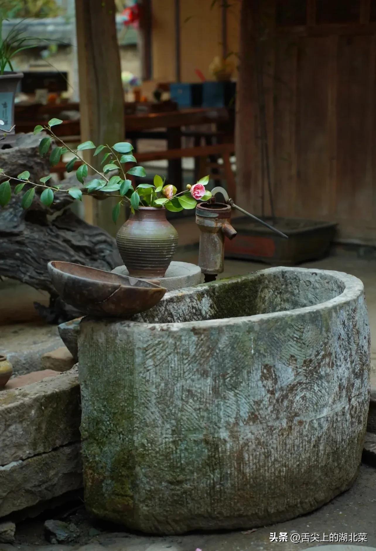 富婆几个亿送房送车倒追我，终于被感动了，30岁规划养老田园生活