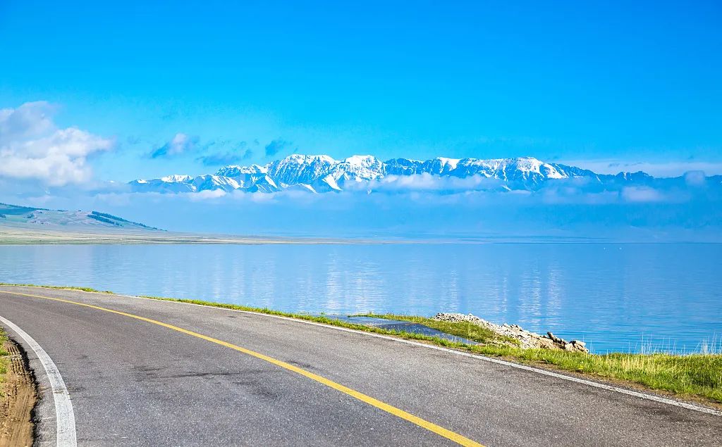 四月新疆伊犁草原,新疆伊犁野杏花最美人间四月天