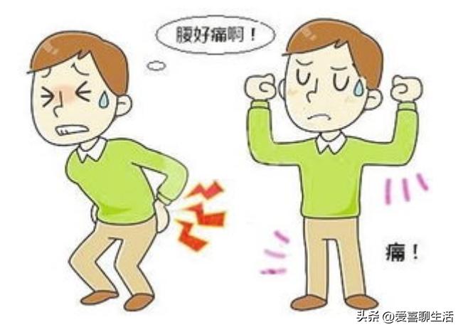 吃什么菜对腰恢复好,腰疼饮食要喝什么汤补腰