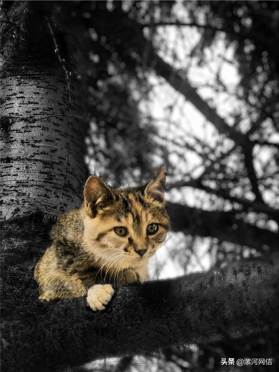 漯河风景摄影展,漯河市近几年的书画展