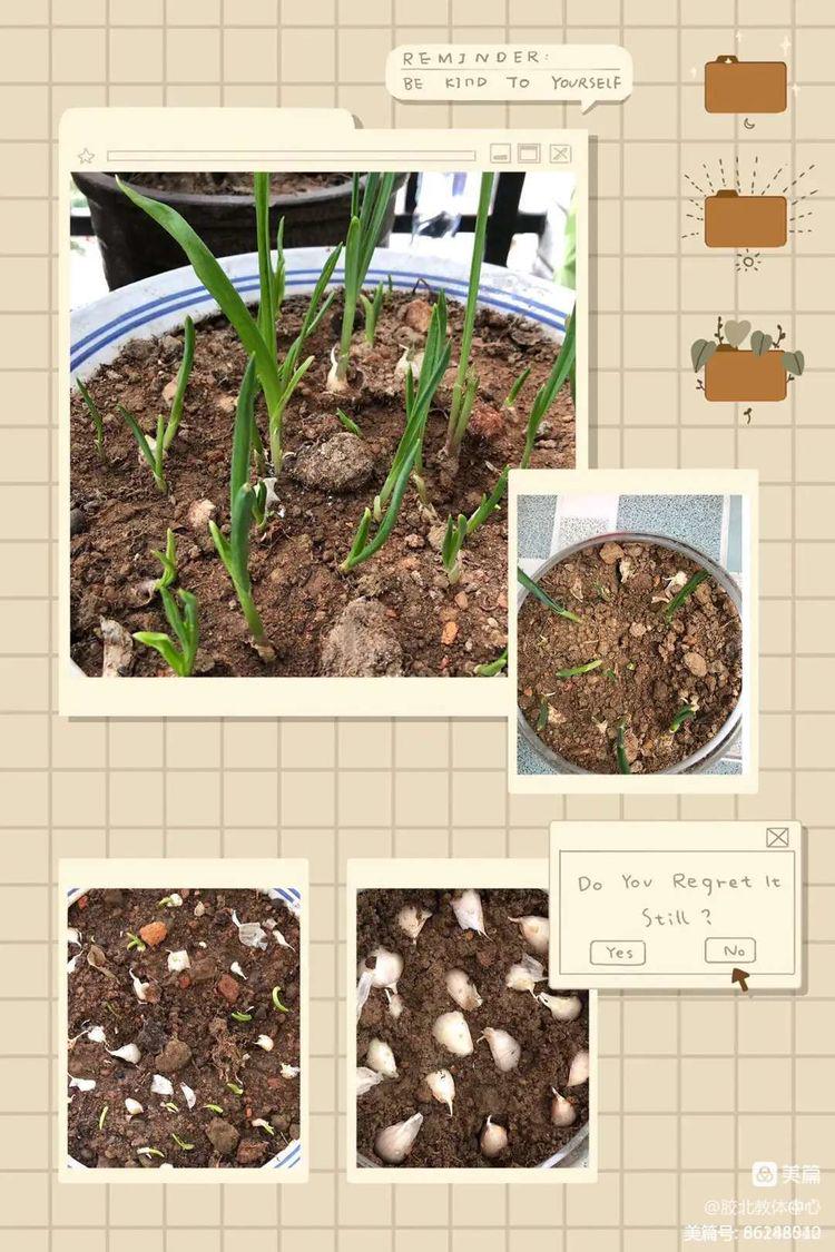 “疫”路耕耘育桃李！胶州市胶北教体中心线上教学纪实！