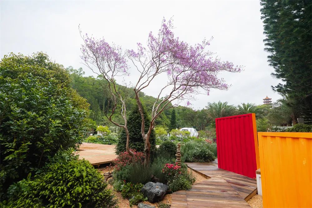 切尔西花展最佳展示花园奖,切尔西花展获奖作品