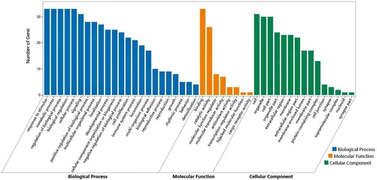 唐古红景天干预肺动脉高压作用机制的网络药理学研究