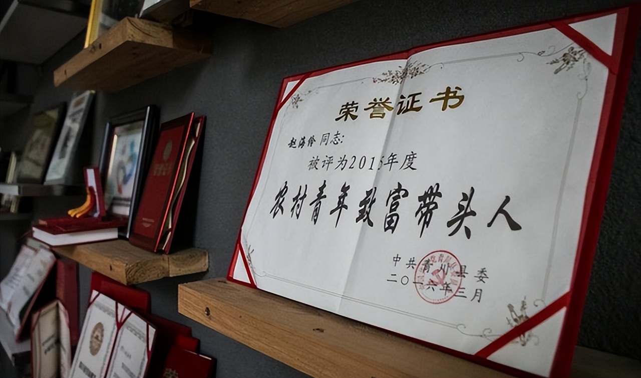 90后大学生回乡带村民致富,汶川80后女孩放弃工作回乡创业