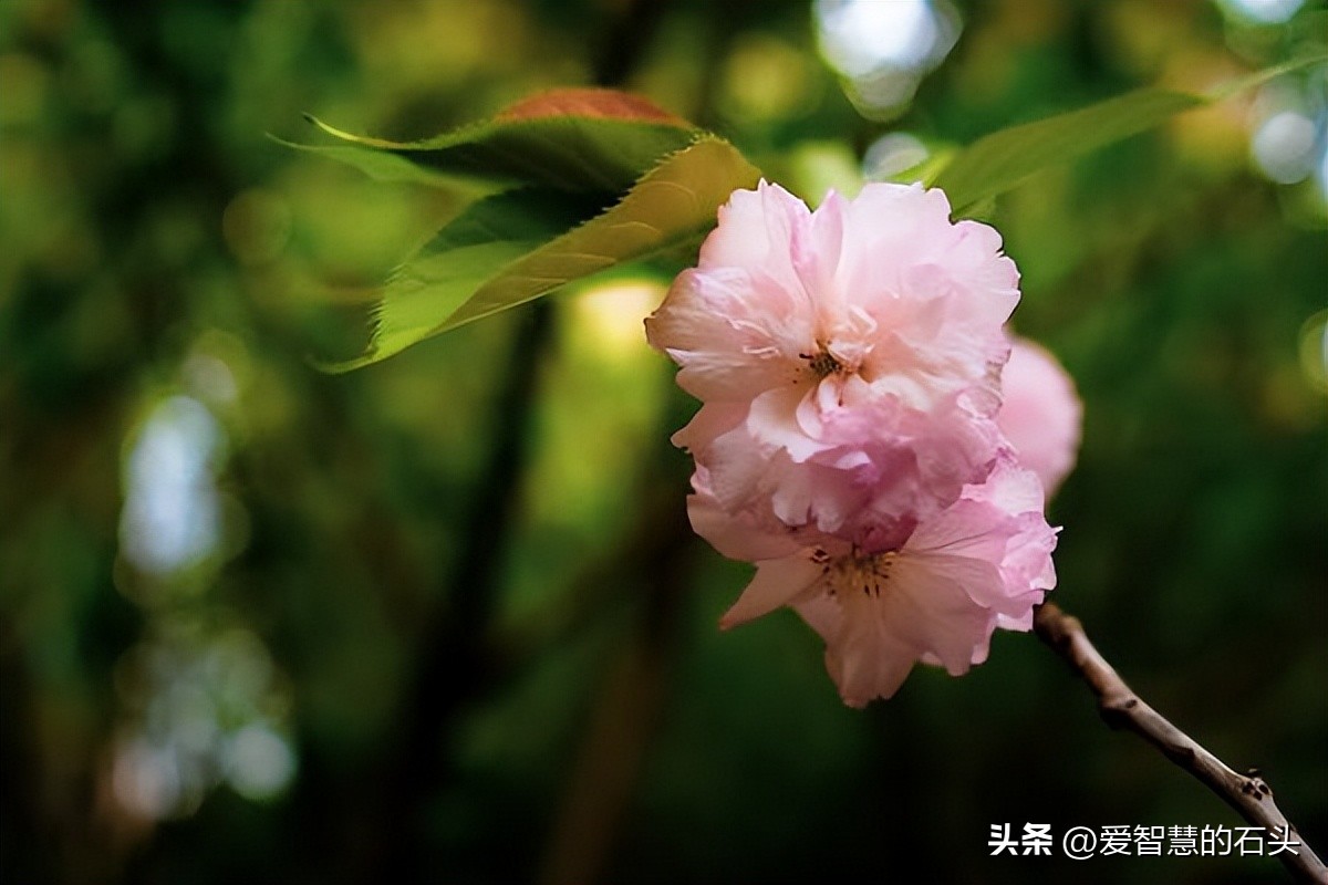 对于不喜欢的人你会怎么应对,如果有人不喜欢你请记住四句话