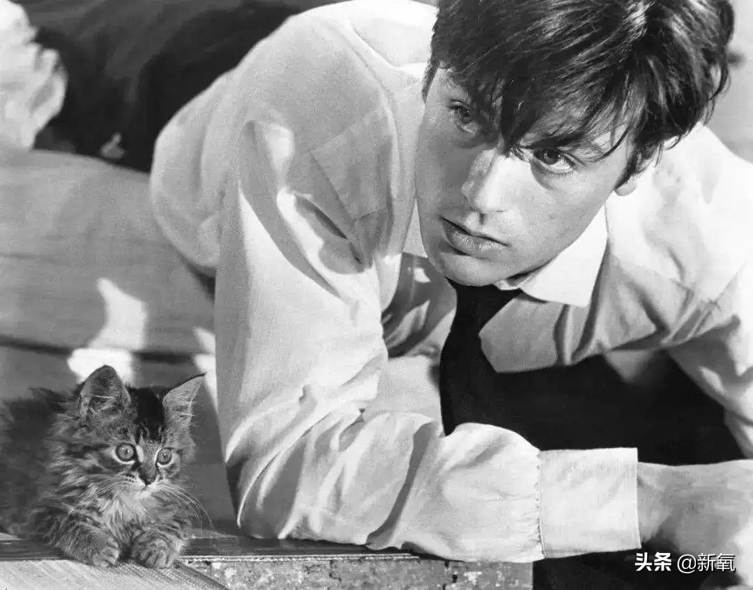 他是彼时最受欢迎的法国巨星，也是法国影史上片酬最高的男演员？