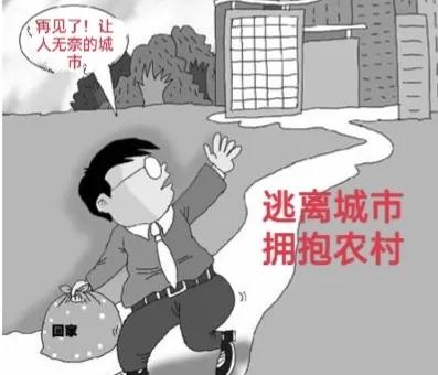 逆城市化的机遇 (未来的逆城市化)