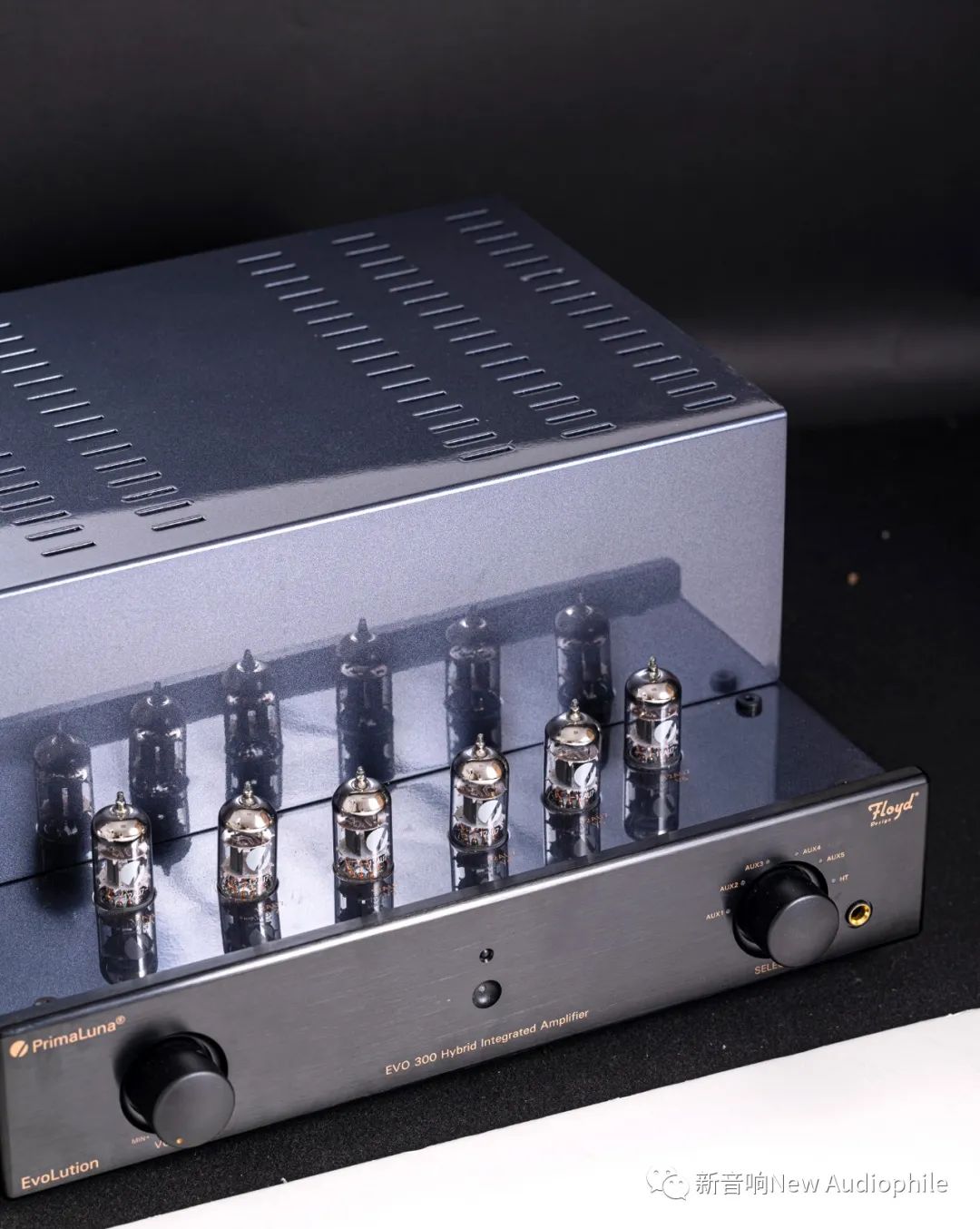 荷兰PrimaLunaEVO300Hybrid胆石混合功放