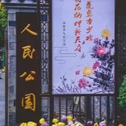 成都重庆九寨沟旅游攻略自由行,70-80岁老人旅游攻略成都