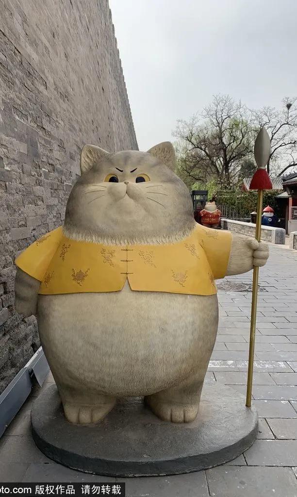 故宫御猫最火的猫,北京故宫的猫为什么叫御猫